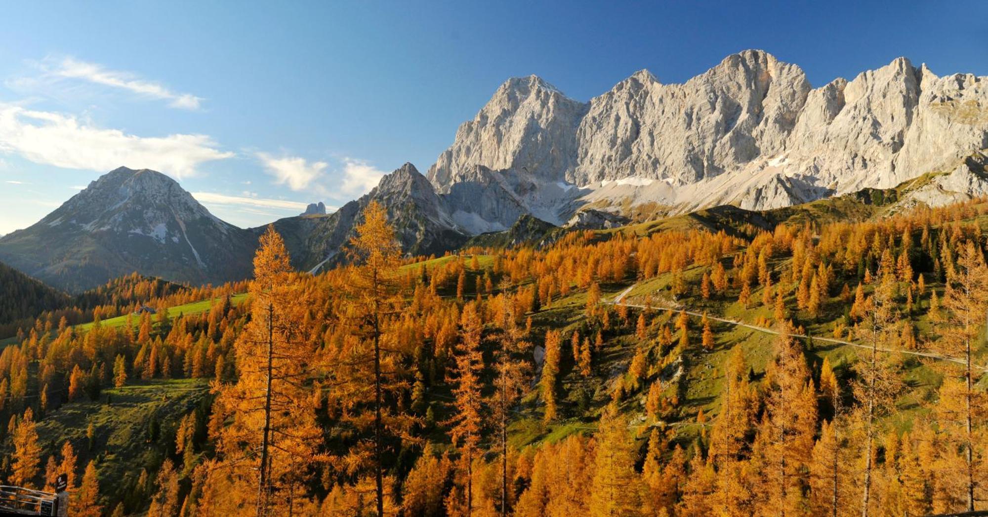 Naturchalet Hoeflehner - Heimgefuehl & Ruhelage An Loipe & Wanderweg Ramsau am Dachstein Zewnętrze zdjęcie