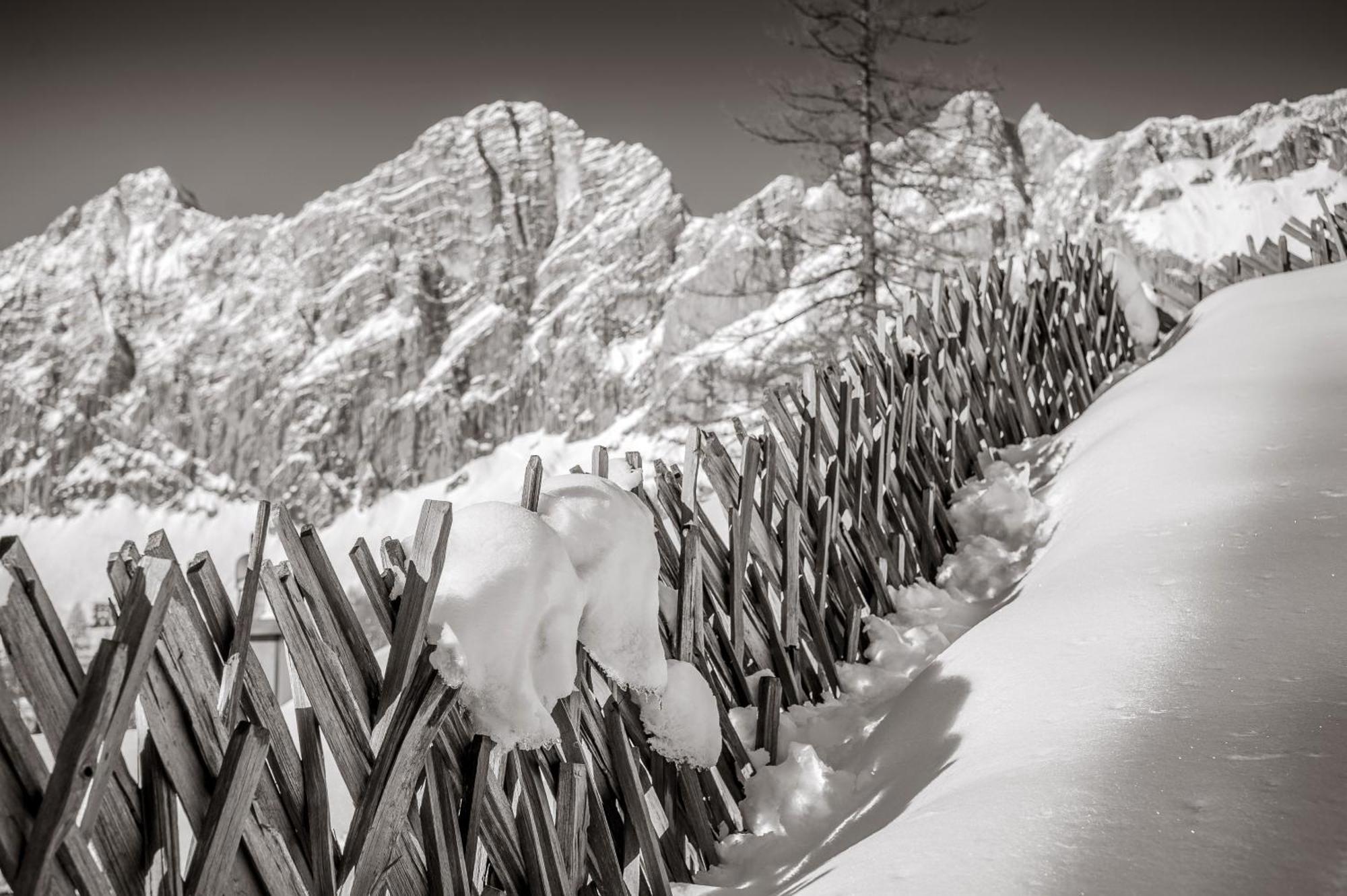 Naturchalet Hoeflehner - Heimgefuehl & Ruhelage An Loipe & Wanderweg Ramsau am Dachstein Zewnętrze zdjęcie